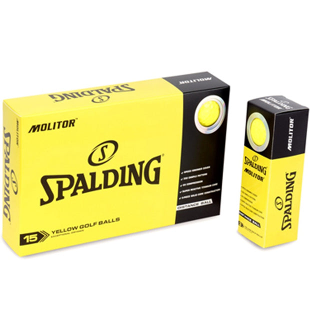 Spalding Molitor 15 Ball Pack 